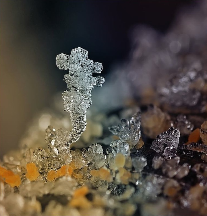 Macro Photos of Tiny Snowflakes by Andrew Osokin macro snowflake photography