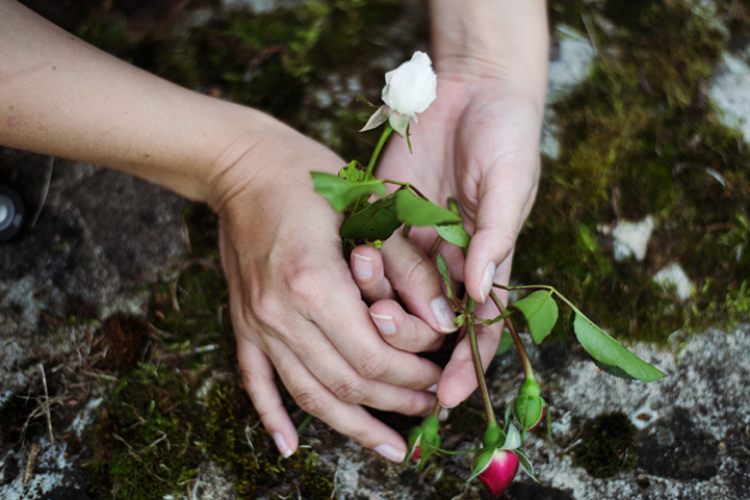 photography of classic fairy tales