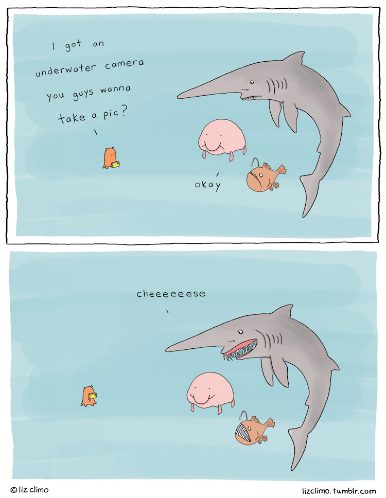 Comic Animator Brings Adorable Animals To Life