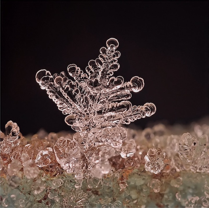 Macro Photos of Tiny Snowflakes by Andrew Osokin macro snowflake photography