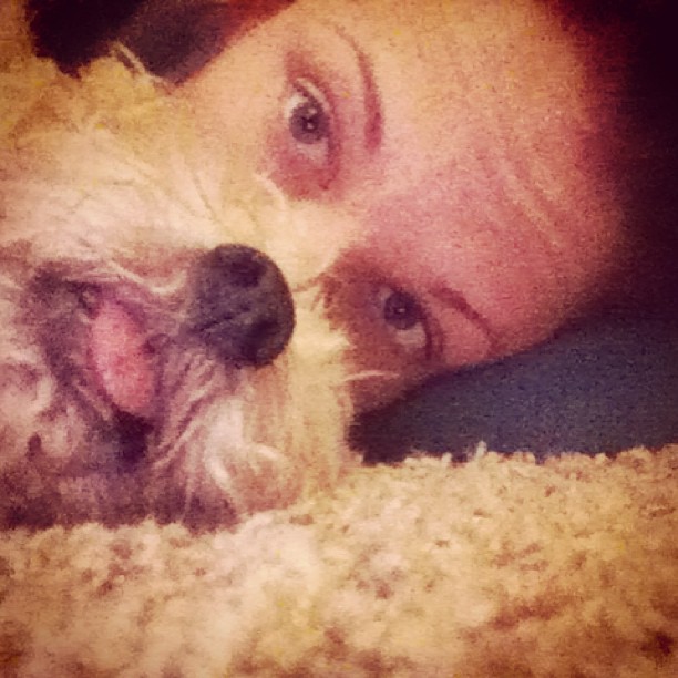 Proud Dog Owners Show Off Their Funny "Dog Beards"