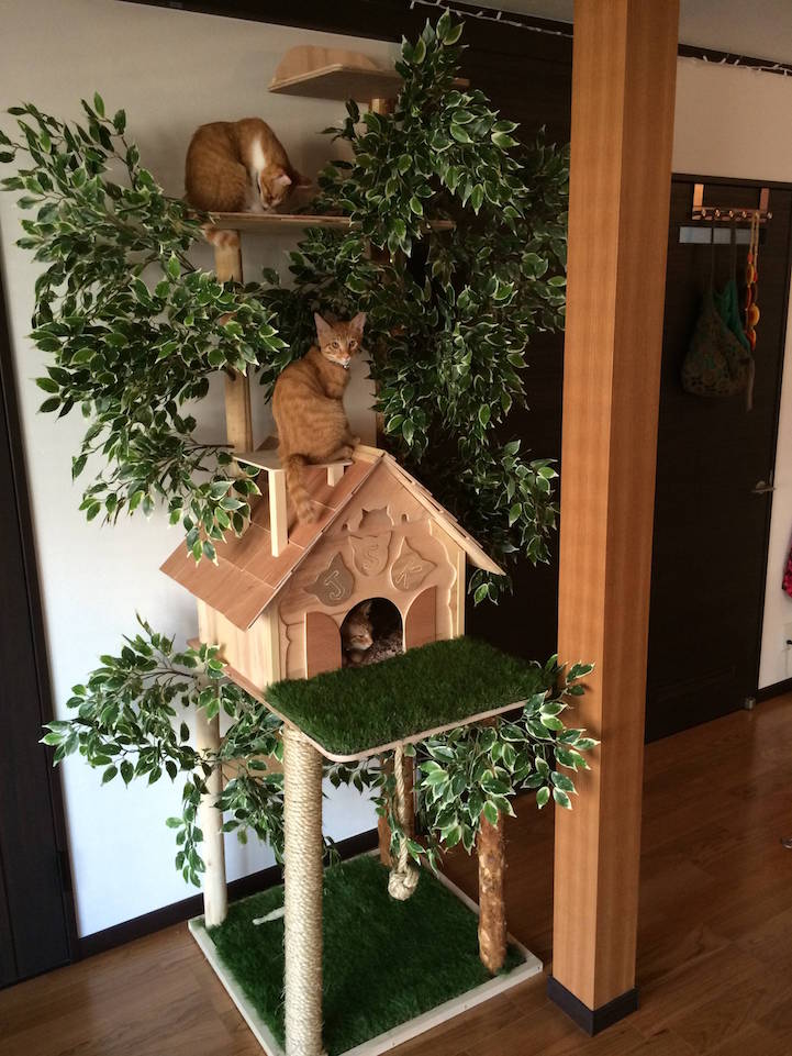 daidougei diy cat tree natural-looking cat tree pets cats