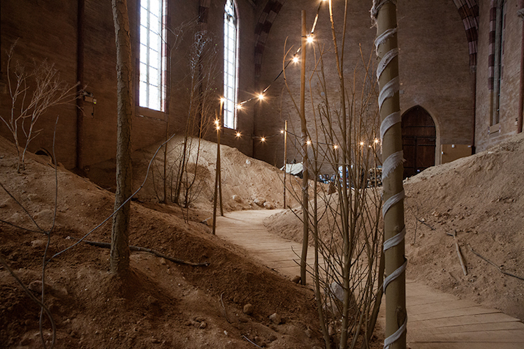Barren Trees With Strands Of Light