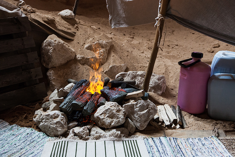 Visitors Experience The Environment Through Visual, Olfactory And Audible