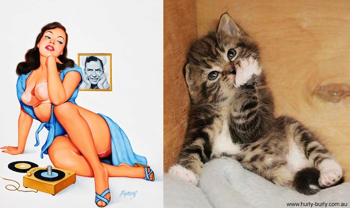 Cats That Look Like Pin Up Girls
