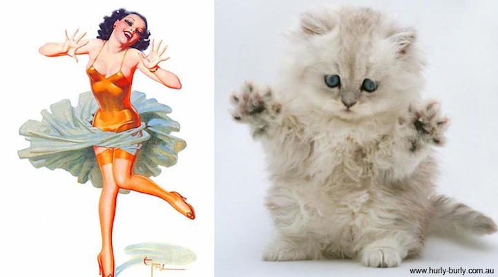Cats That Look Like Pin Up Girls
