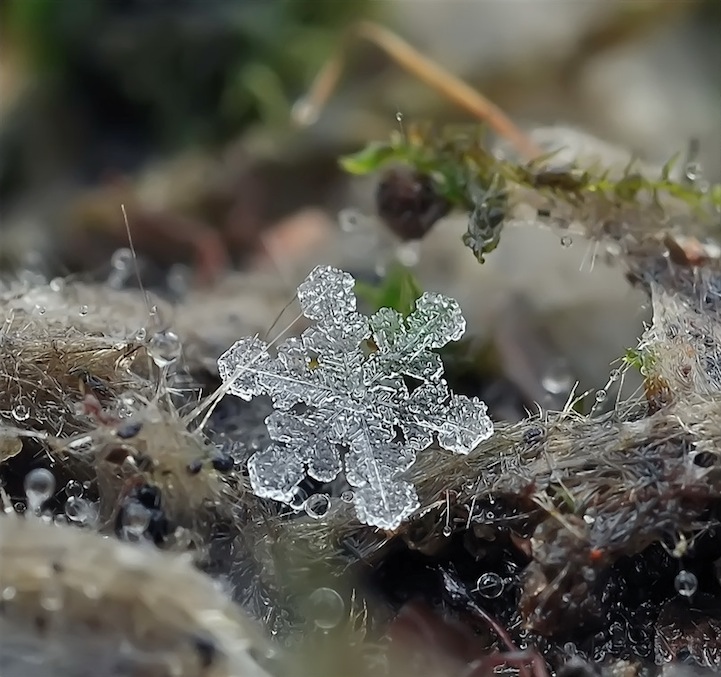 Macro Photos of Tiny Snowflakes by Andrew Osokin macro snowflake photography