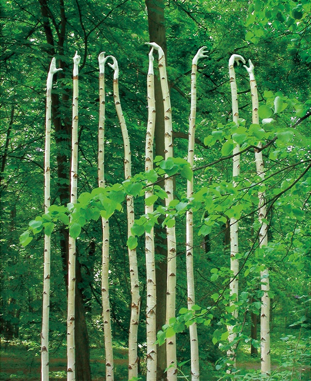 Olga Ziemska ecological art