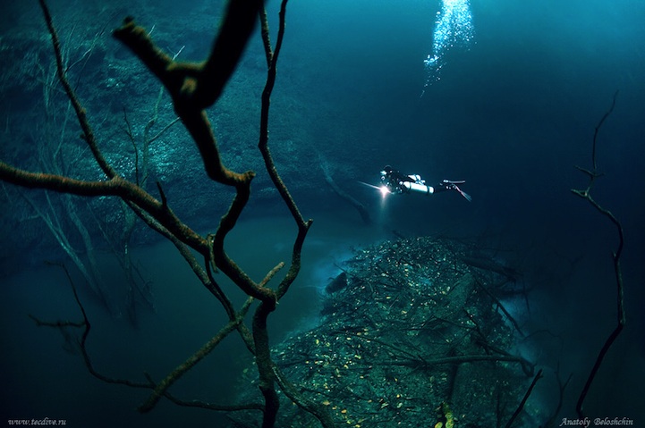 cenote angelita underwater river mexico nature underwater photography