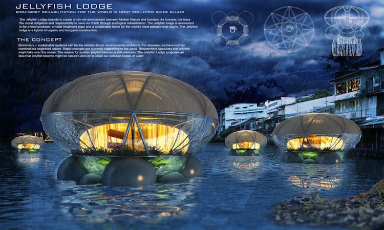 Jellyfish Lodge Brings Life To Unsafe Waterways