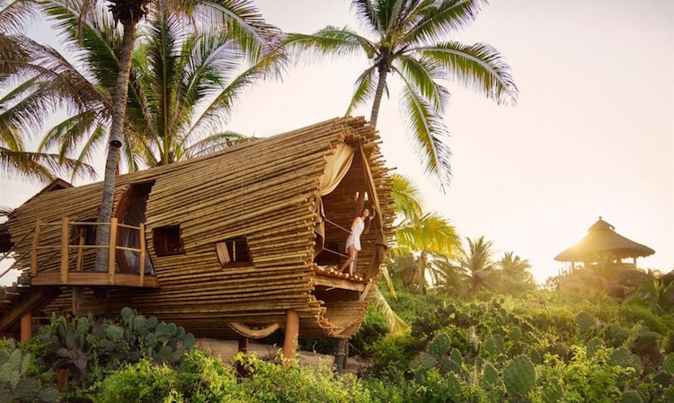 Luxury Treehouse Suite In Playa Viva Mexico