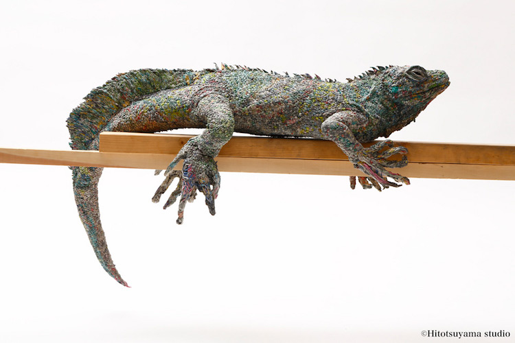 Newspaper Transformed Into Life-Sized Iguana