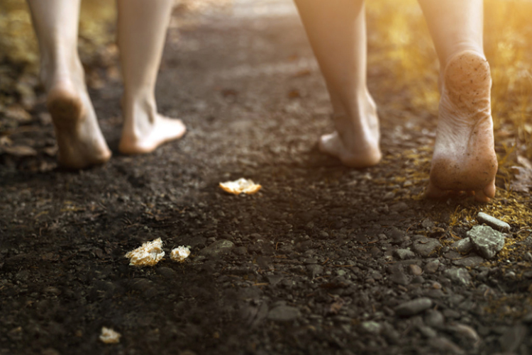 photography of classic fairy tales