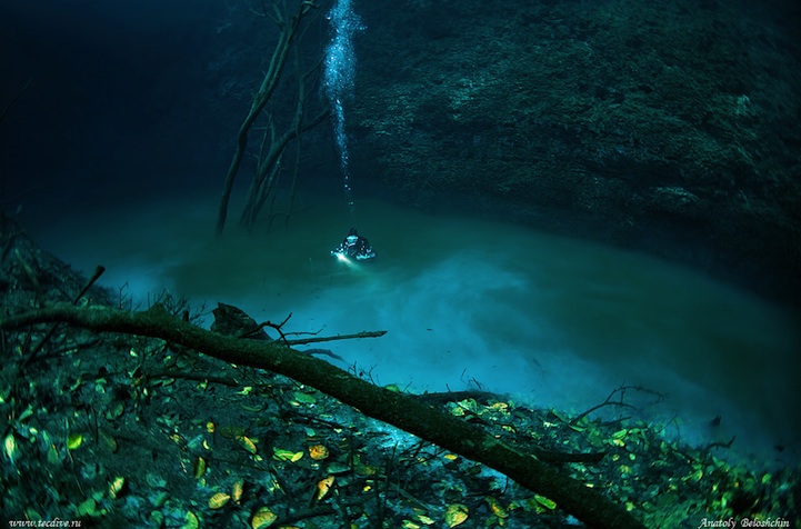cenote angelita underwater river mexico nature underwater photography