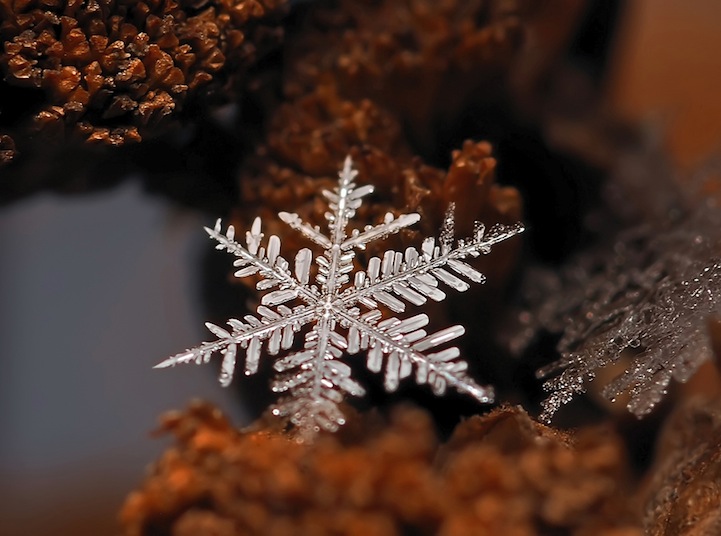 Macro Photos of Tiny Snowflakes by Andrew Osokin macro snowflake photography