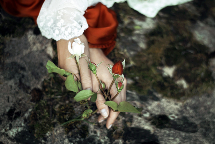 laura zalenga photography