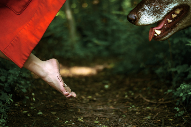 photography of classic fairy tales