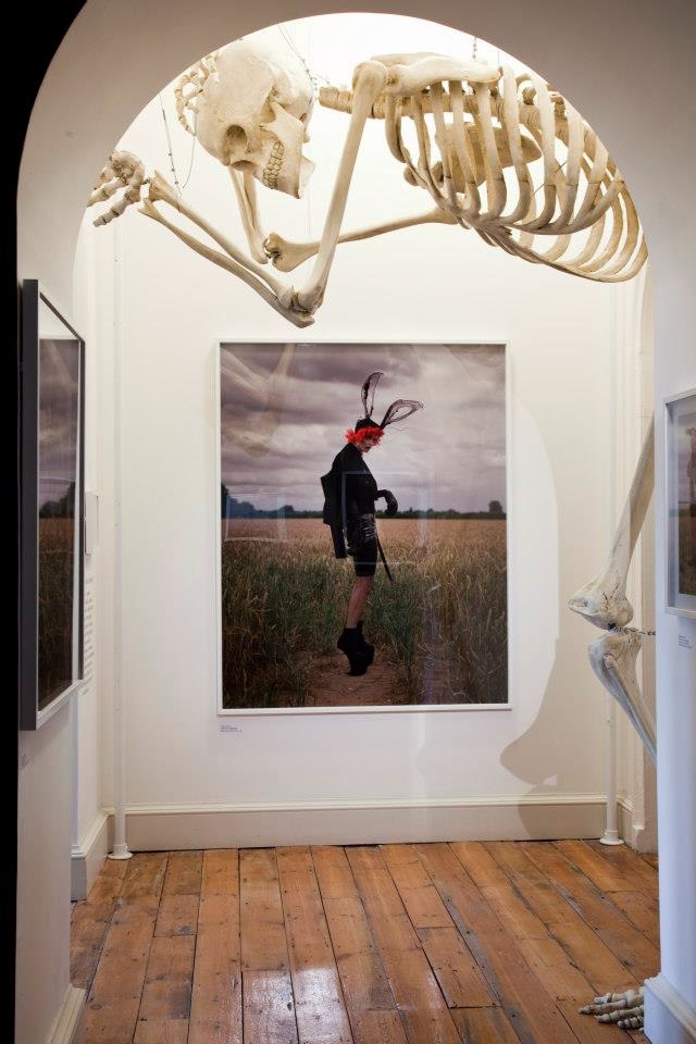 Tim Walker's New Exhibition Brings His Fantasy Photos Alive