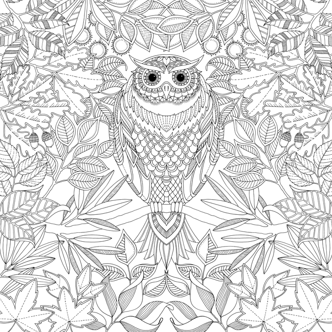 adult coloring books animals