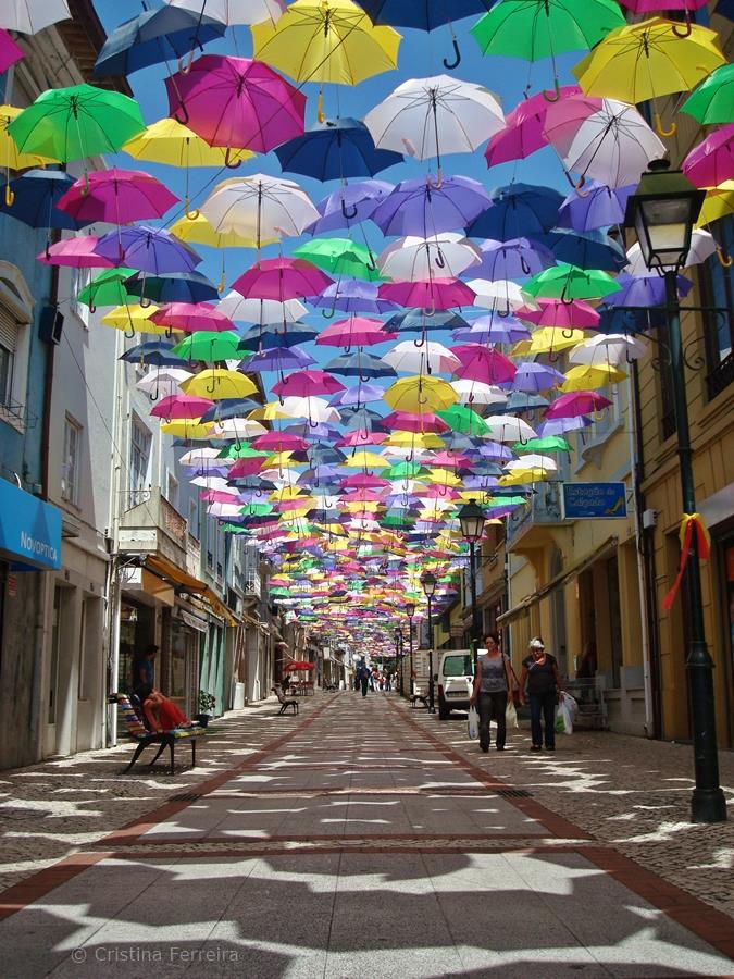 New Colorful Canopy of Umbrellas Graces the Streets of Portugal