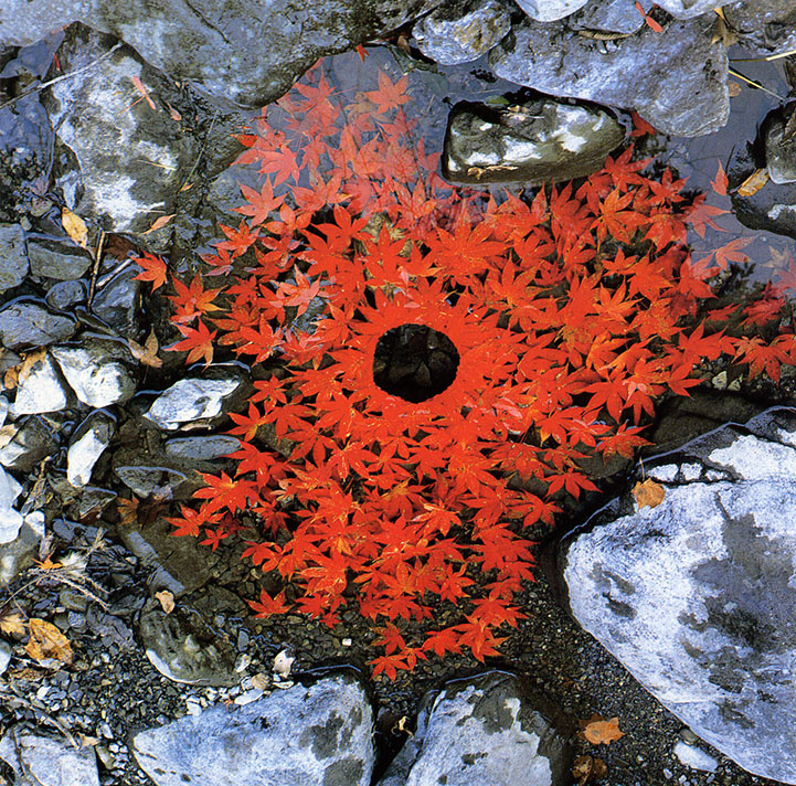 andy goldsworthy site-specific land art earthworks nature art installation