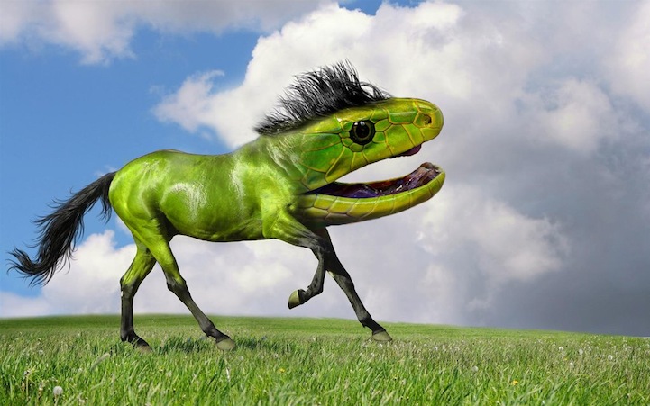 wierd animal mashup