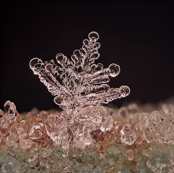 Macro Photos of Tiny Snowflakes by Andrew Osokin macro snowflake photography