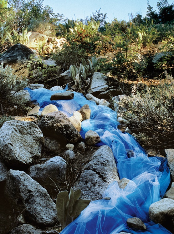 Linda Gass environmental art