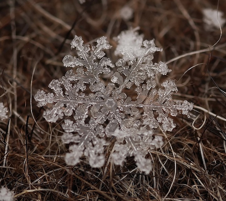 Macro Photos of Tiny Snowflakes by Andrew Osokin macro snowflake photography
