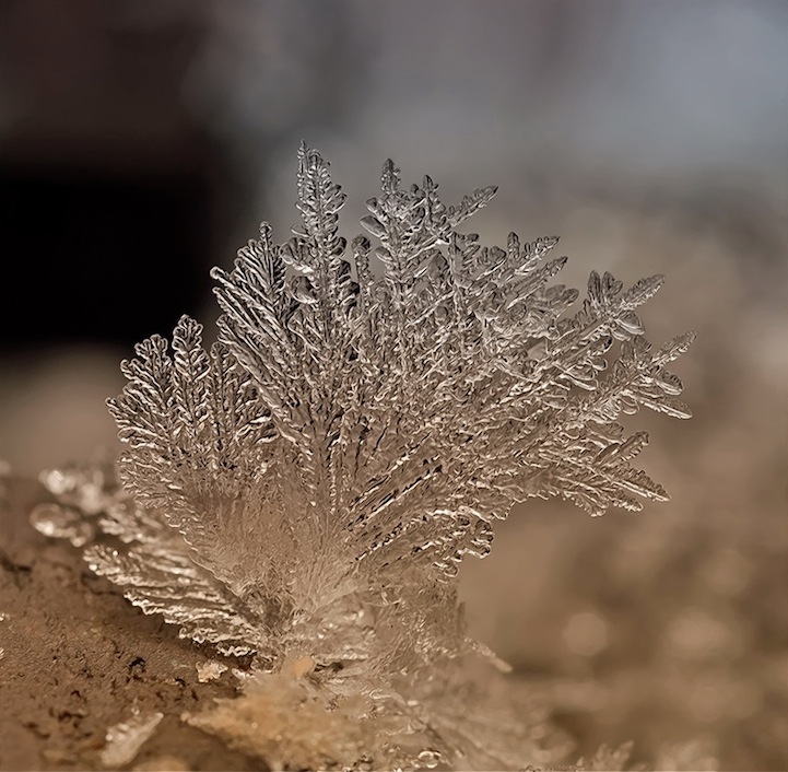 Macro Photos of Tiny Snowflakes by Andrew Osokin macro snowflake photography