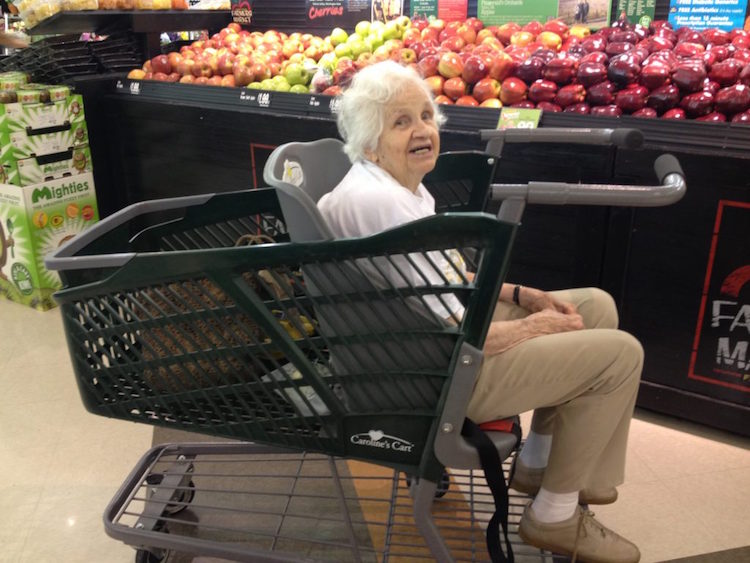 Special Needs Shopping Cart