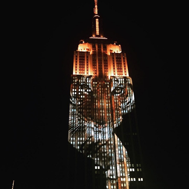 light installation empire state building