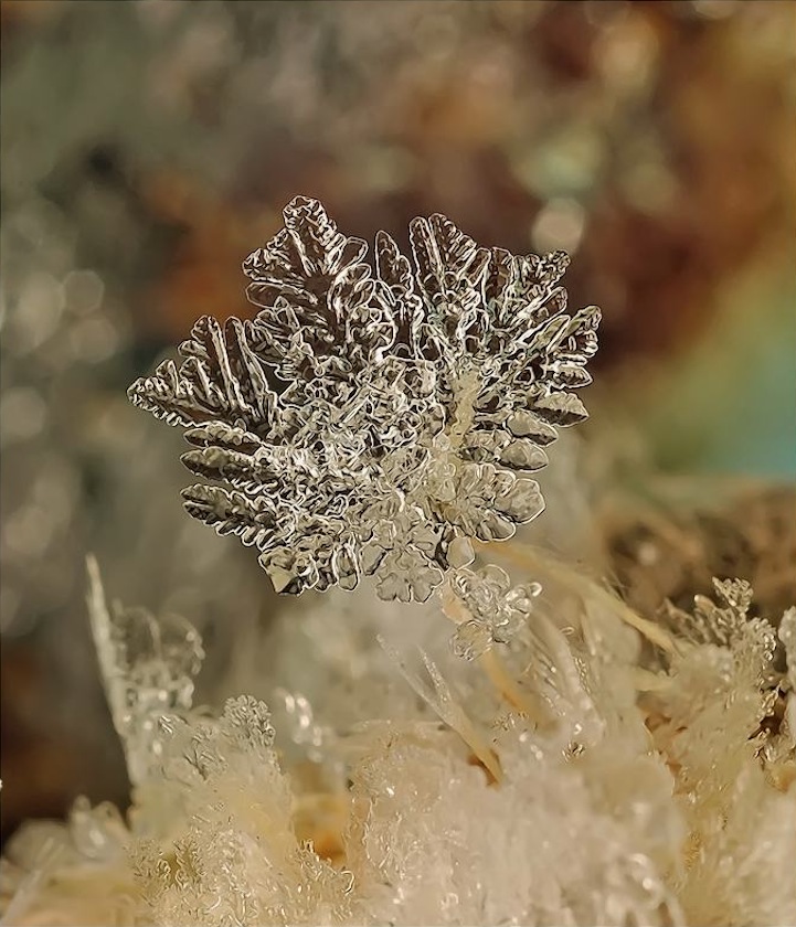 Macro Photos of Tiny Snowflakes by Andrew Osokin macro snowflake photography