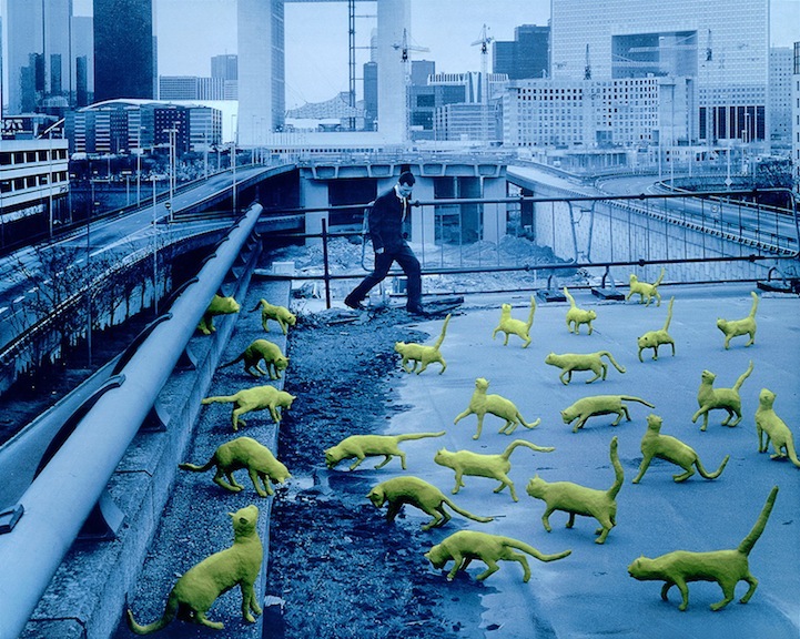 sandy skoglund surreal sets non-photoshopped scenes surrealism photography