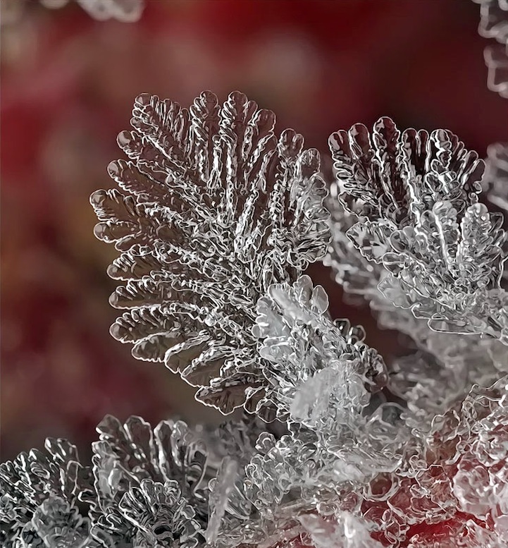 Macro Photos of Tiny Snowflakes by Andrew Osokin macro snowflake photography