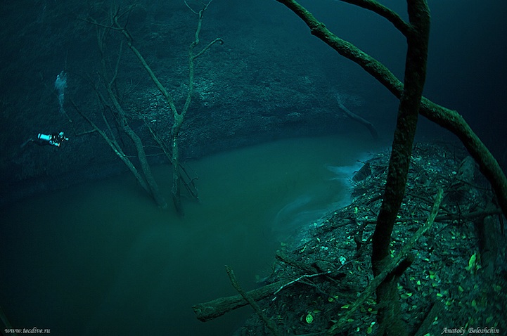 cenote angelita underwater river mexico nature underwater photography