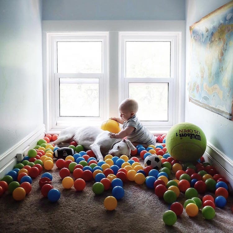 Baby And Dog Play With Balls Together