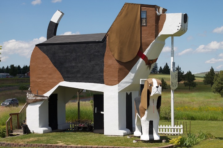 dog bark park inn
