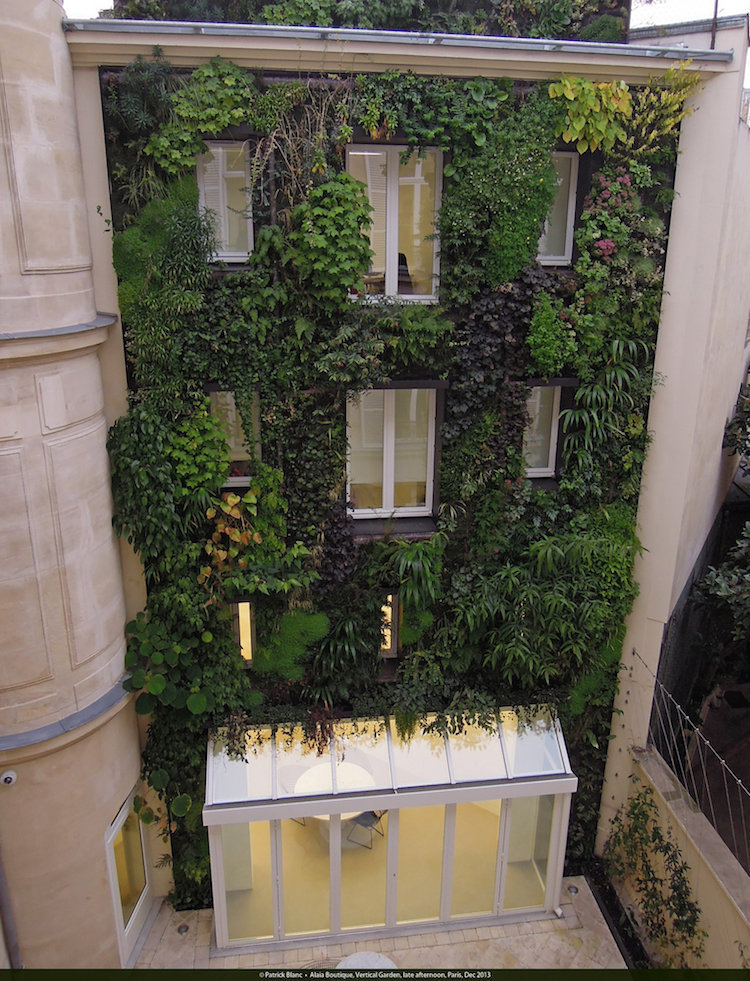 Living Walls Of Paris