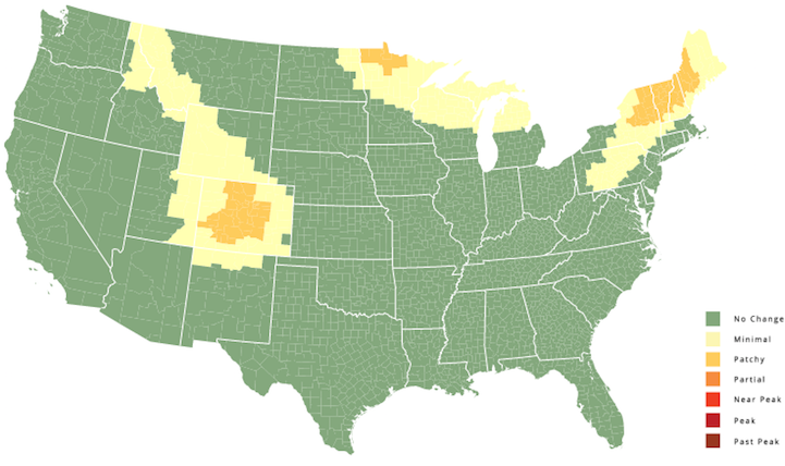 Interactive US Map Predicts the Changing Colors of Leaves By Date and ...